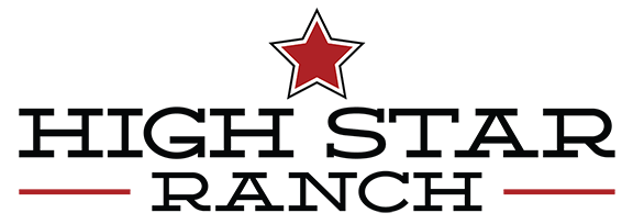 HSR Header Logo